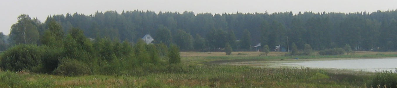 Где-то здесь стояла дача  Н.Т.Щапова.Озеро Валдай  (в 5 км. от Иваново на Сев.-Запад) 2007 г.